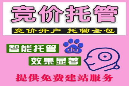 百度竞价赚钱秘诀：实战案例分析